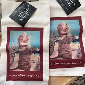 NWT Kitchen Dish Towels -Set of 2